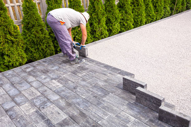 Best Driveway Paving Near Me  in St Anthony, MN